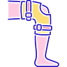 Limb Reconstruction